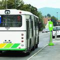 LPP ima še 49 avtobusov, ki nimajo klimatske naprave, devet avtobusov pa je star