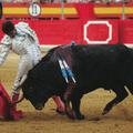 Matador je najprestižnejši rang, ki ga lahko doseže bikoborec.