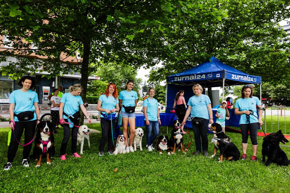 festival za ljubitelje živali | Avtor: Saša Despot