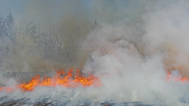 Požar - fotografija je simbolična