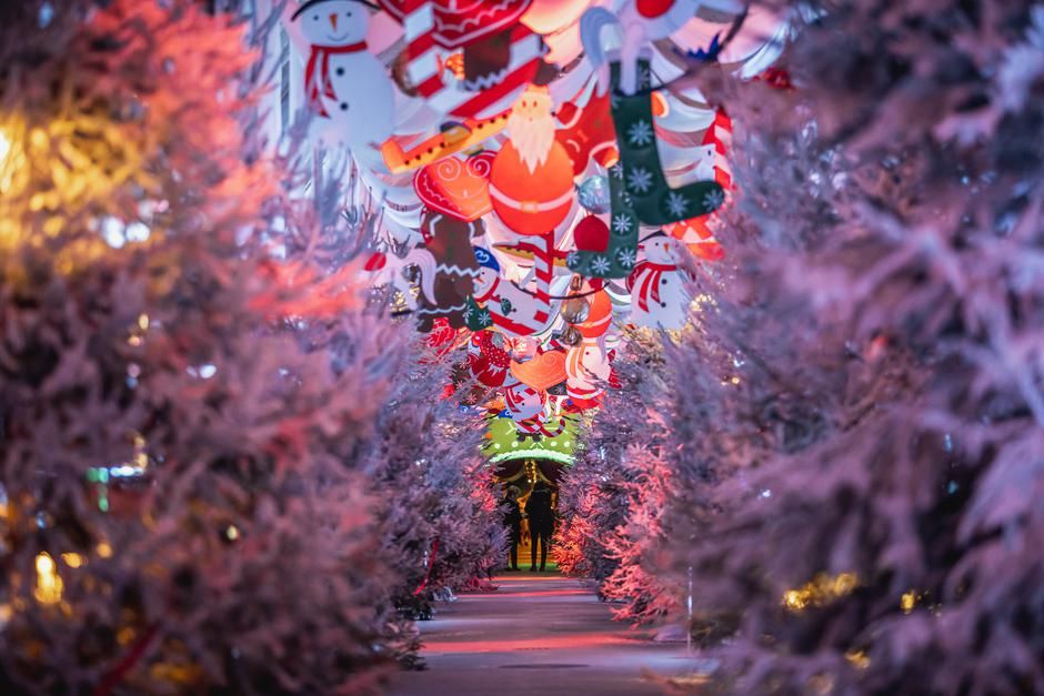 Advent Zagreb | Avtor: Julien Duval