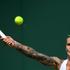 polona hercog wimbledon 2017