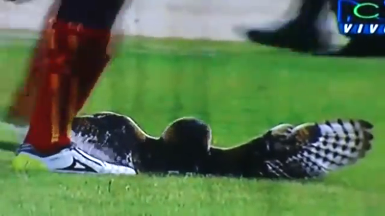 Takole se je na udarec pripravil Moreno. (Foto: YouTube)
