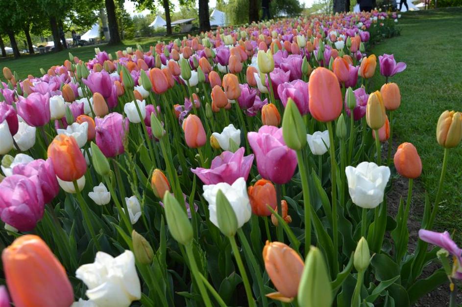 Arboretum Voljčji Potok