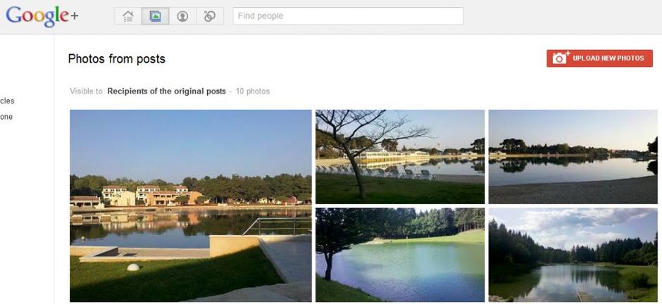 Galerija slik v Google+. | Avtor: D. H.