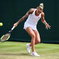 polona hercog wimbledon 2017