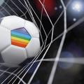 Homoseksualnost v nogometu
