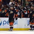 anaheim ducks