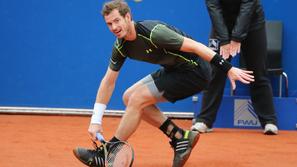 andy murray