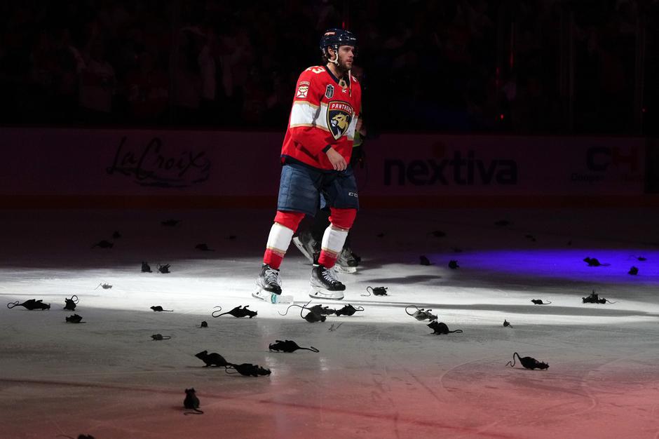 Florida Panthers : Vegas Golden Knights | Avtor: Profimedia