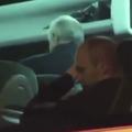 andres iniesta avtobus