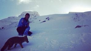 tina maze lisica alonso