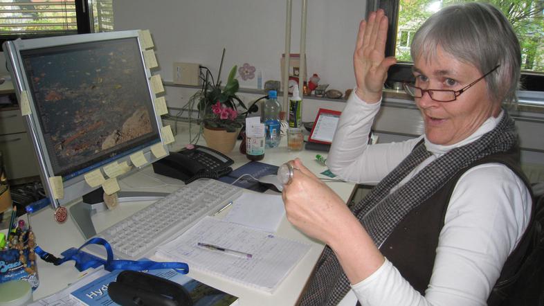 "Sprehajalci psov naj pazijo, da njihovi štirinožni prijatelji ne bi pili jezers