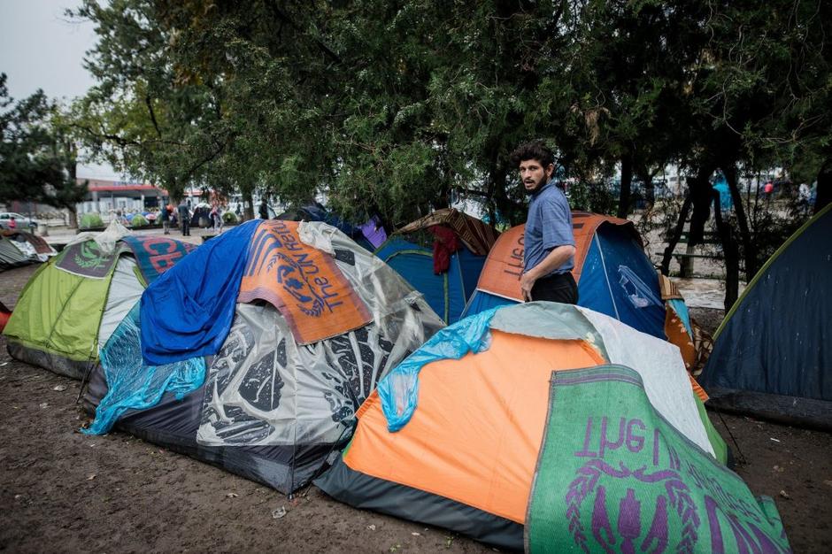 Pribežniki v Beogradu | Avtor: Profimedias