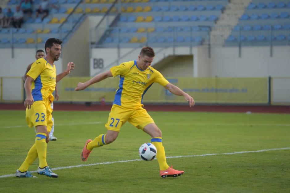 Domžale, lusitanos | Avtor: Anže Petkovšek