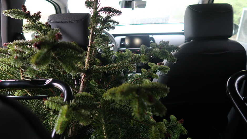 Honda jazz | Avtor: Gregor Prebil