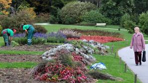 (Foto: Dejan Mijovič)