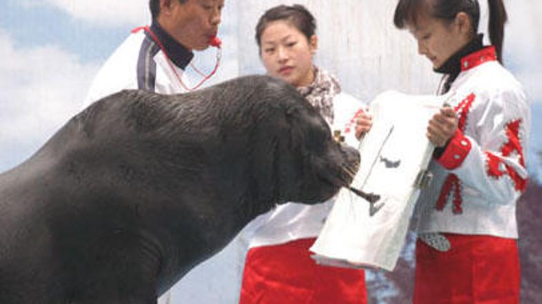 To pa sploh ni težko!