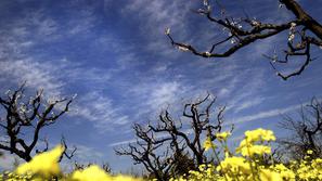 Aprilsko vreme povzroča občutljivim ljudem nemalo preglavic. Predhodno se pripra