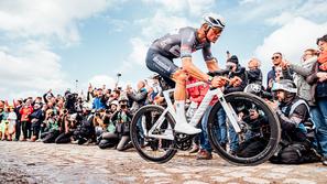 Van der Poel