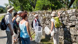 Festival Kraška gmajna