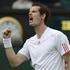 andy murray wimbledon