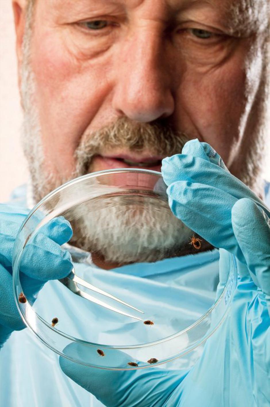 Stenice | Avtor: Profimedias