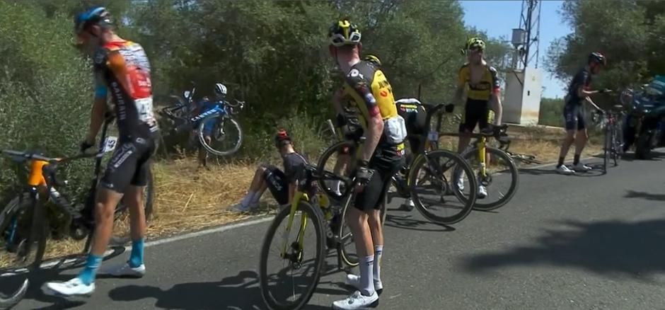  | Avtor: Print Screen 