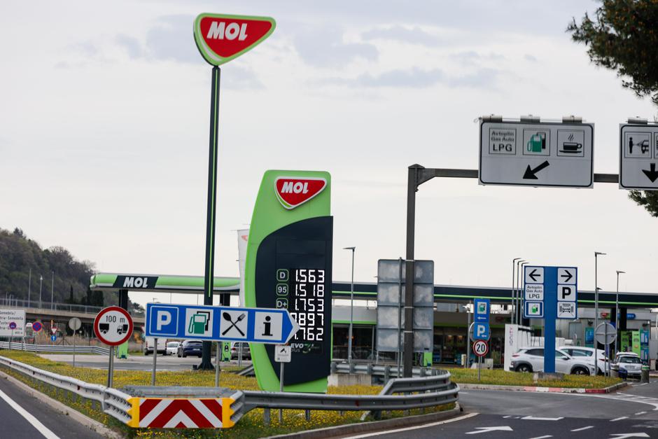 mol | Avtor: Saša Despot