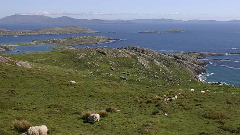 Na vrhu pivske lestvice je zelena Irska. 14,2 litra čistega alkohola na glavo na
