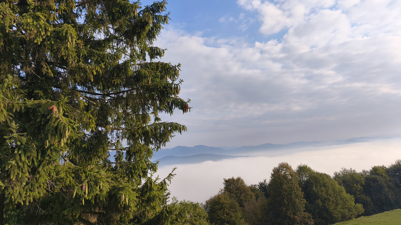 Turistična kmetija Kuren