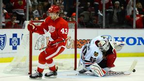 detroit red wings nhl