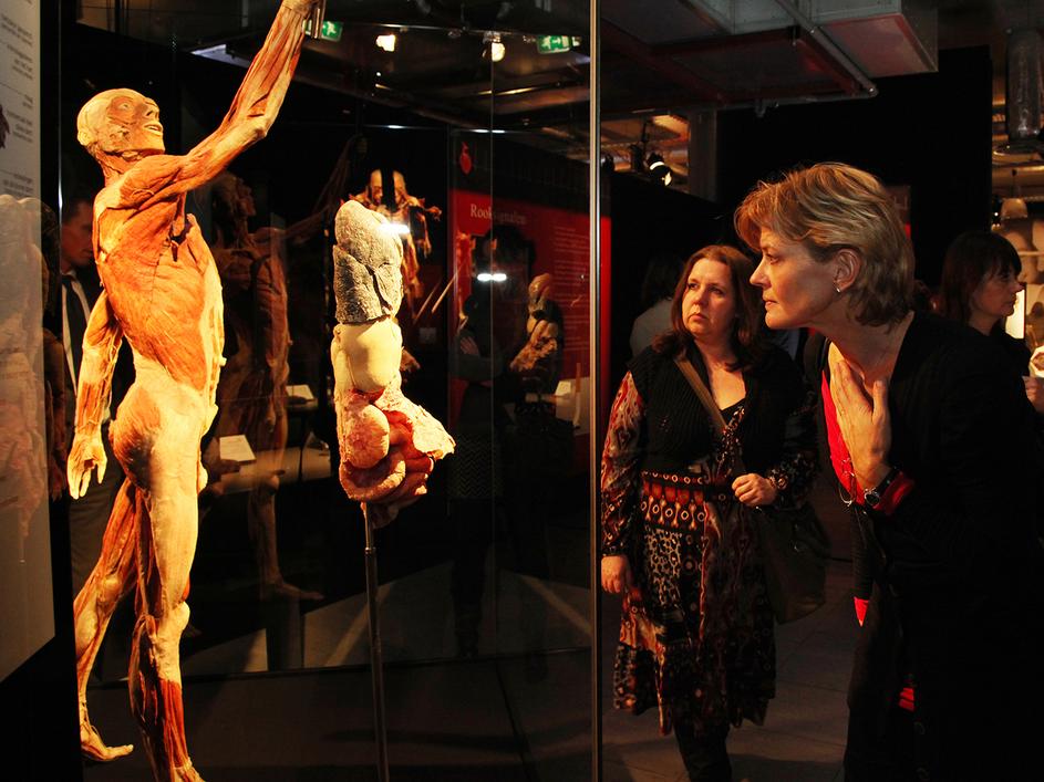 Body Worlds Vital