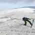 Kranjec Harrachov poleti jutranja tekma svetovni pokal smučarski skoki
