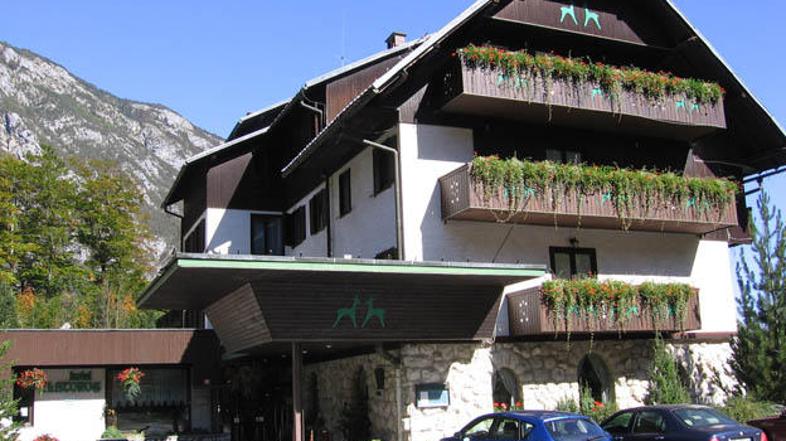 Bohinjski hoteli (na fotografiji hotel Zlatorog), ki so v lasti družine Pačnik, 