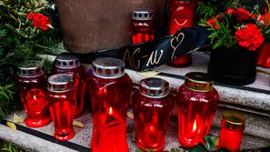 novo mesto shod romi