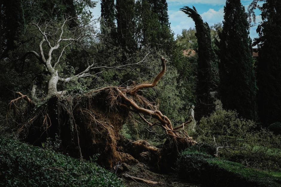 Neurje v severni Italiji | Avtor: Epa