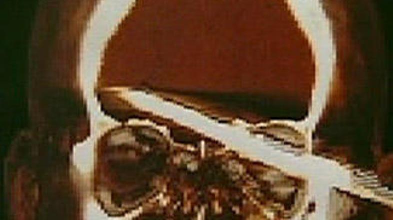 Harpuna je za las zgrešila Emersonove možgane.