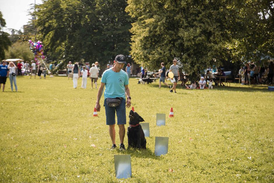 Festival za ljubitelje živali 2025 | Avtor: Cimet Studio