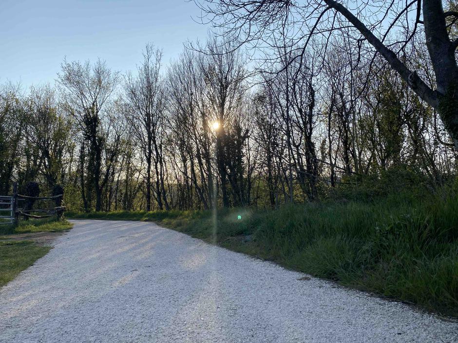 Pomlad | Avtor: A. Š.