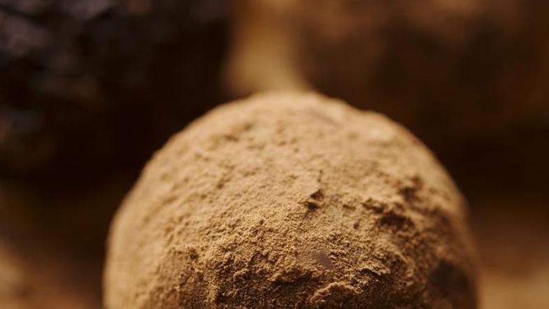 (Foto: Shutterstock)