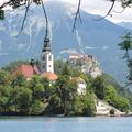 Bled otok