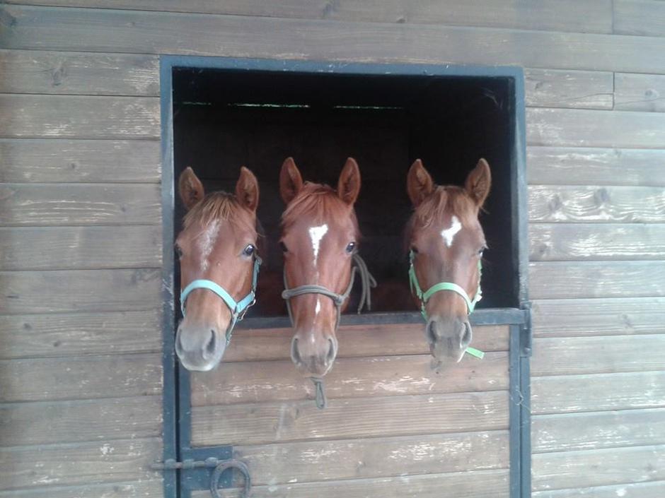 Kmetija na hribu | Avtor: osebni arhiv