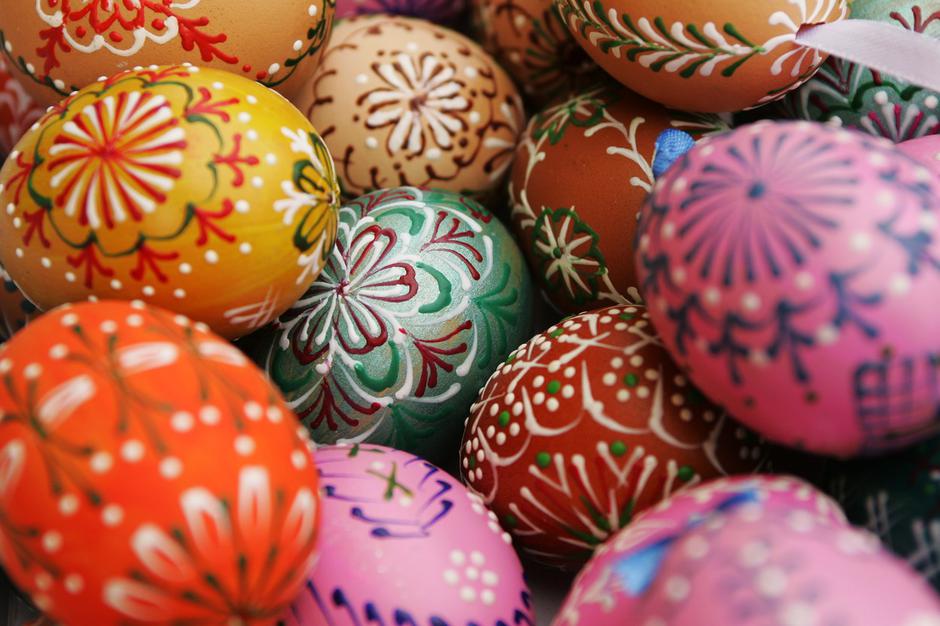 pirhi | Avtor: Profimedia