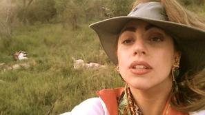 Lady Gaga, safari, levi