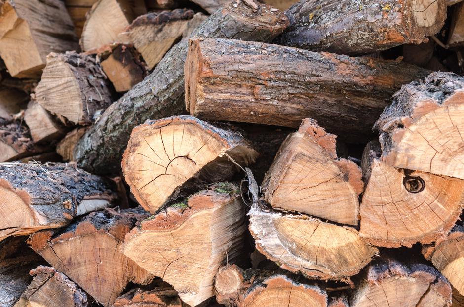 Drva | Avtor: Profimedia