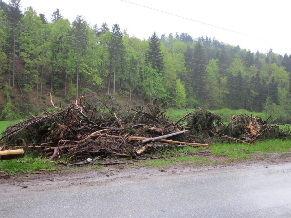 Podrta drevesa v Stranski vasi | Avtor: Katarina Klepec