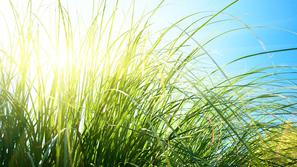 (Foto: Shutterstock)