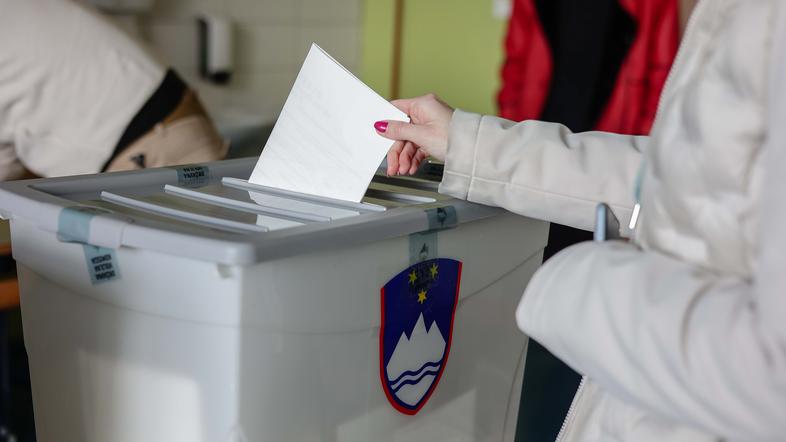 parlamentarne volitve 2026