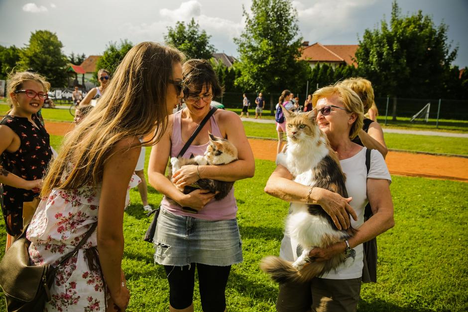 Festival za živali | Avtor: Saša Despot